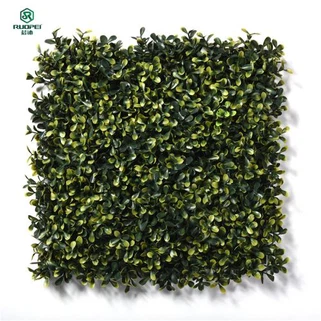 プラスチックツゲロール