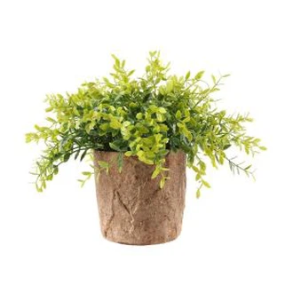 小さな庭の植物