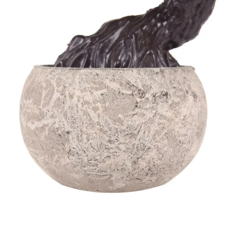 Green Small Potted Plants Small Potted Plants