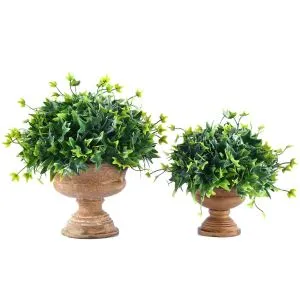 人工ツゲの木の植物盆栽